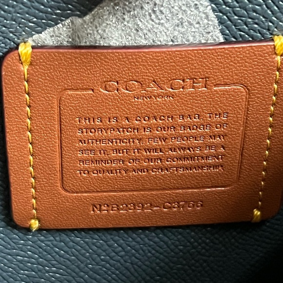 💰SOLD - C3766 - Coach Willow Bucket Bag in Colorblock - Picture 9 of 12